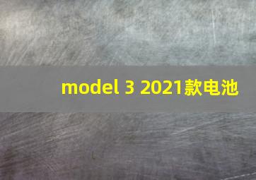 model 3 2021款电池